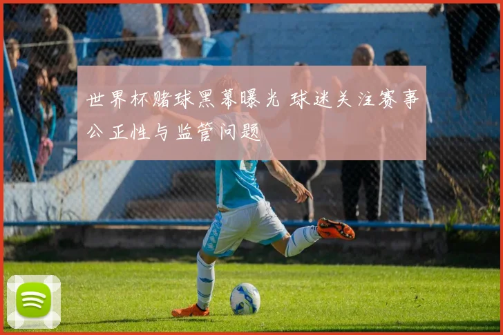 世界杯赌球黑幕曝光 球迷关注赛事公正性与监管问题