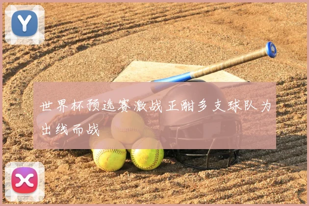 世界杯预选赛激战正酣多支球队为出线而战
