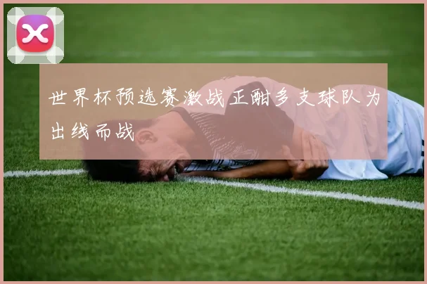 世界杯预选赛激战正酣多支球队为出线而战