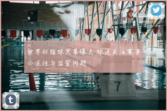 世界杯赌球黑幕曝光 球迷关注赛事公正性与监管问题